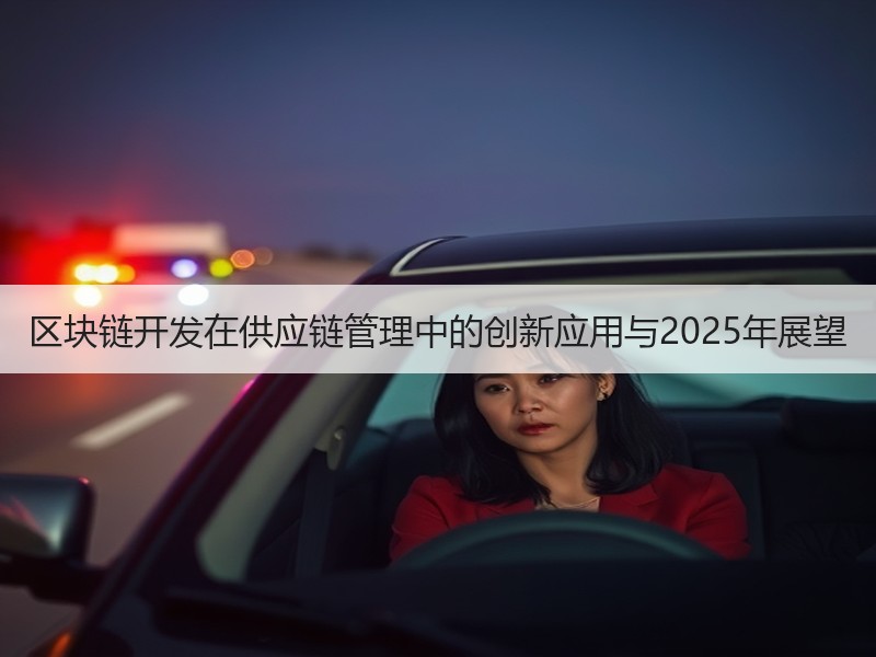 区块链开发在供应链管理中的创新应用与2025年展望