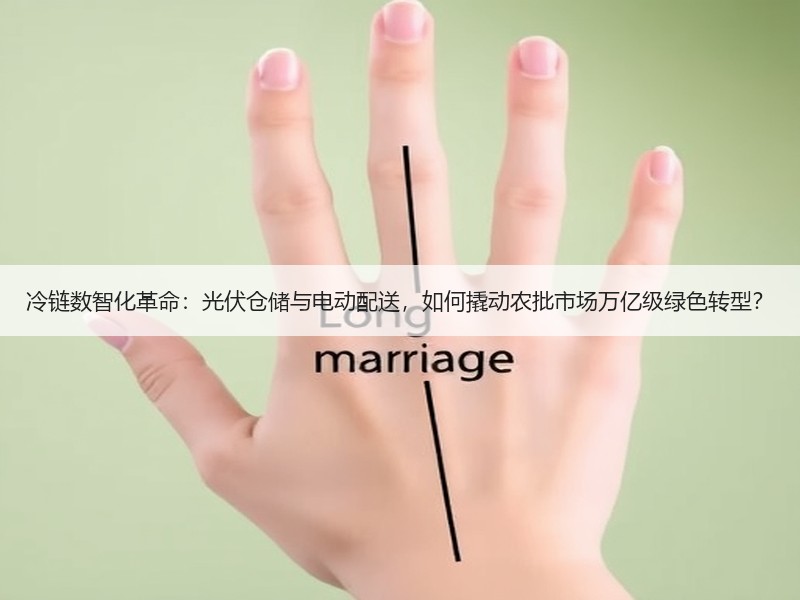 冷链数智化革命：光伏仓储与电动配送，如何撬动农批市场万亿级绿色转型？