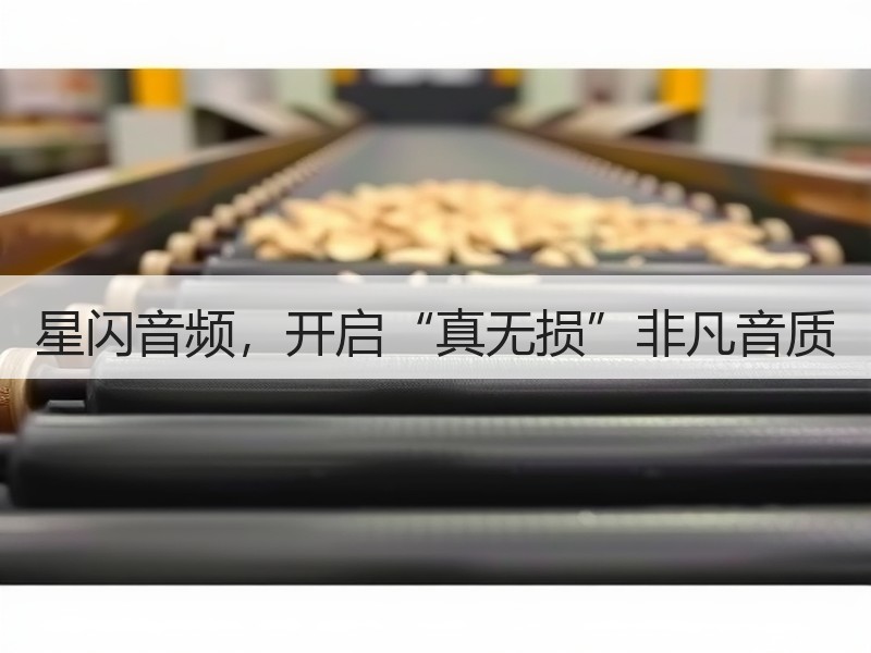 星闪音频，开启“真无损”非凡音质