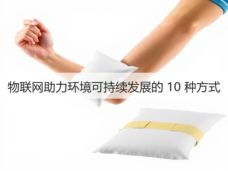 物联网助力环境可持续发展的 10 种方式