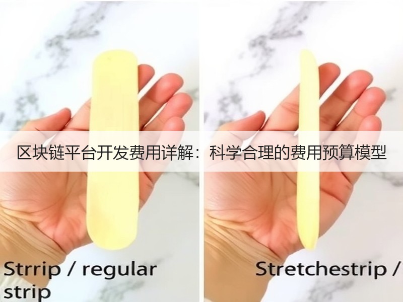 区块链平台开发费用详解：科学合理的费用预算模型