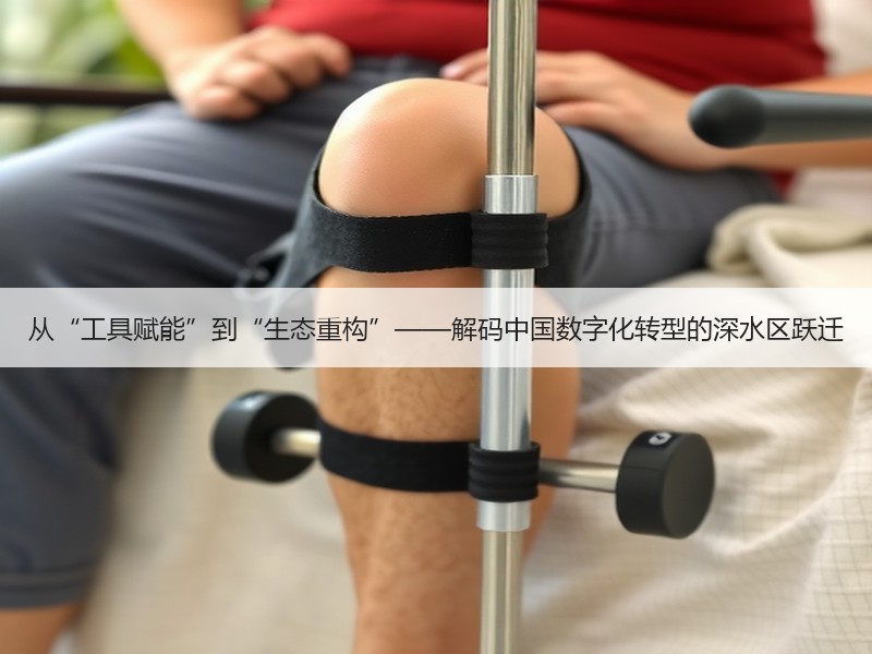 从“工具赋能”到“生态重构”——解码中国数字化转型的深水区跃迁