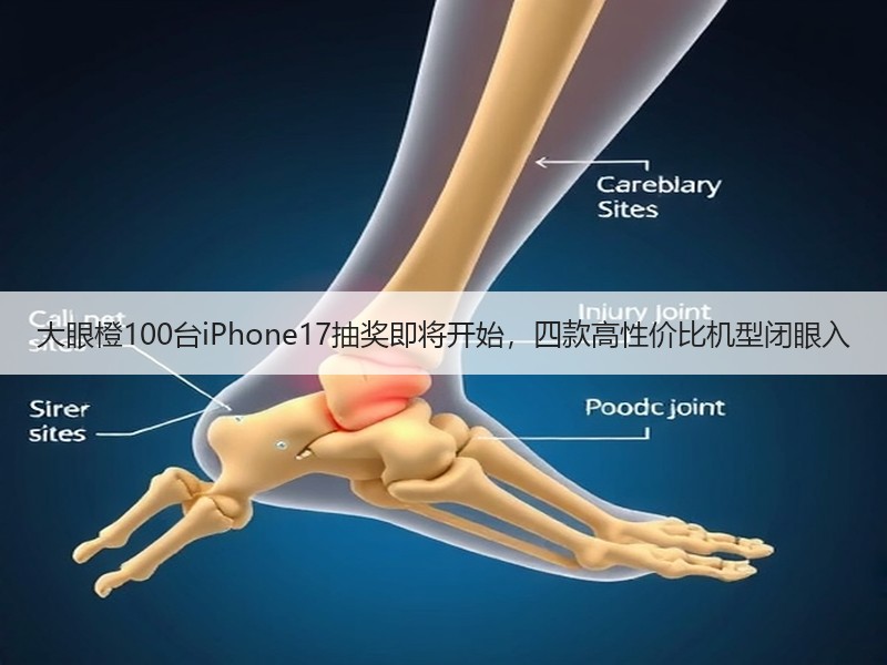 大眼橙100台iPhone17抽奖即将开始，四款高性价比机型闭眼入