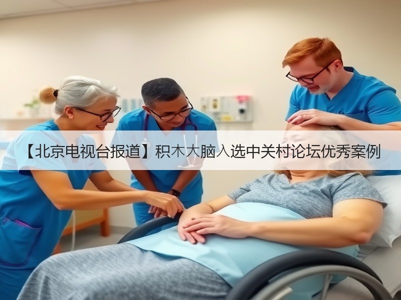 【北京电视台报道】积⽊⼤脑⼊选中关村论坛优秀案例