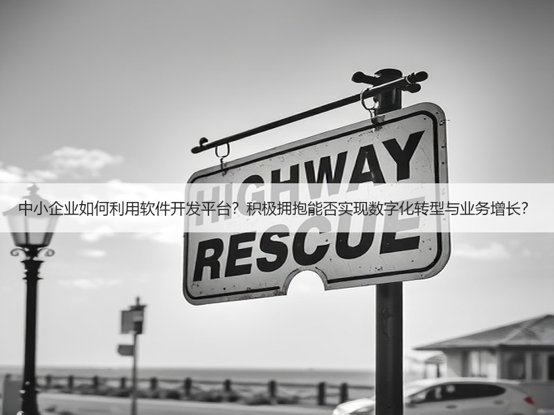 中小企业如何利用软件开发平台？积极拥抱能否实现数字化转型与业务增长？