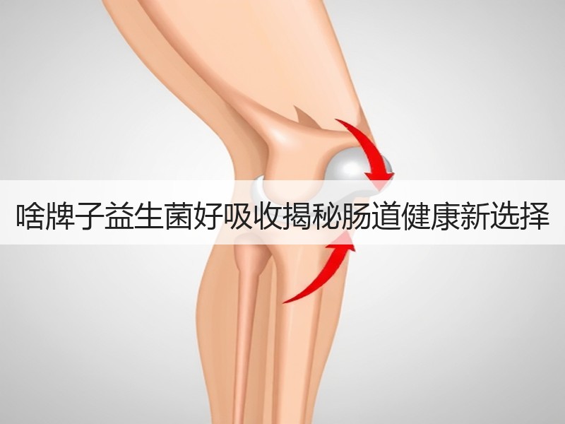 啥牌子益生菌好吸收揭秘肠道健康新选择