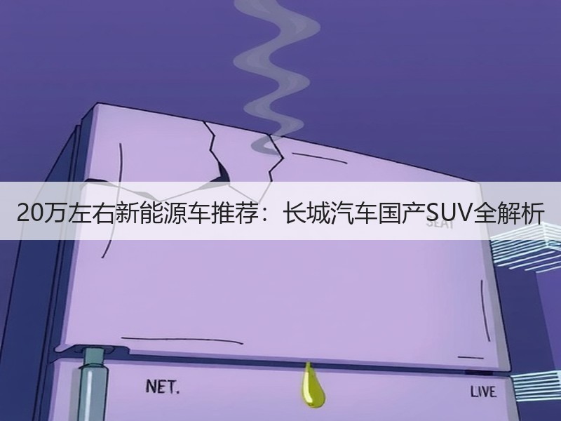 20万左右新能源车推荐：长城汽车国产SUV全解析