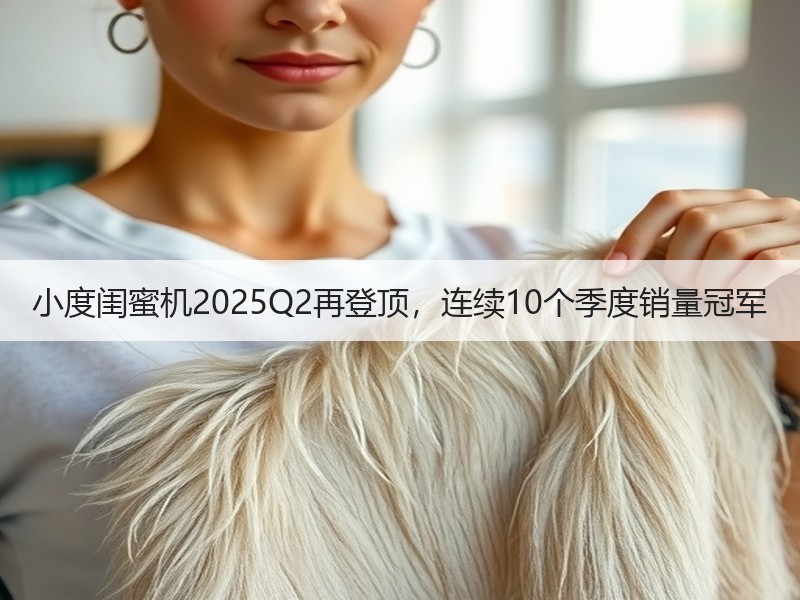 小度闺蜜机2025Q2再登顶，连续10个季度销量冠军