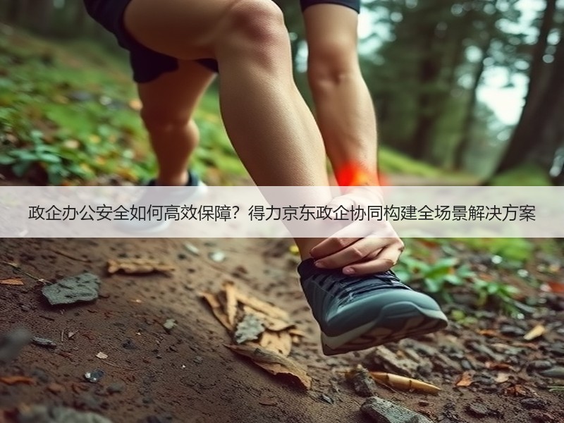 政企办公安全如何高效保障？得力京东政企协同构建全场景解决方案