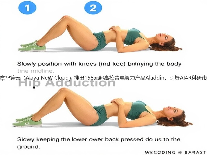 九章智算云（Alaya NeW Cloud）推出158元起高校普惠算力产品Aladdin，引爆AI4R科研市场